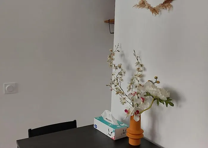 Le Boudoir - Wi-fi - Tv *